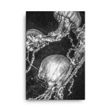 Ethereal Drift – Canvas Print of Enigmatic Beauty