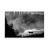 Wild Serenity – Black and White Poster Nature